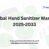 Global Hand Sanitizer Market